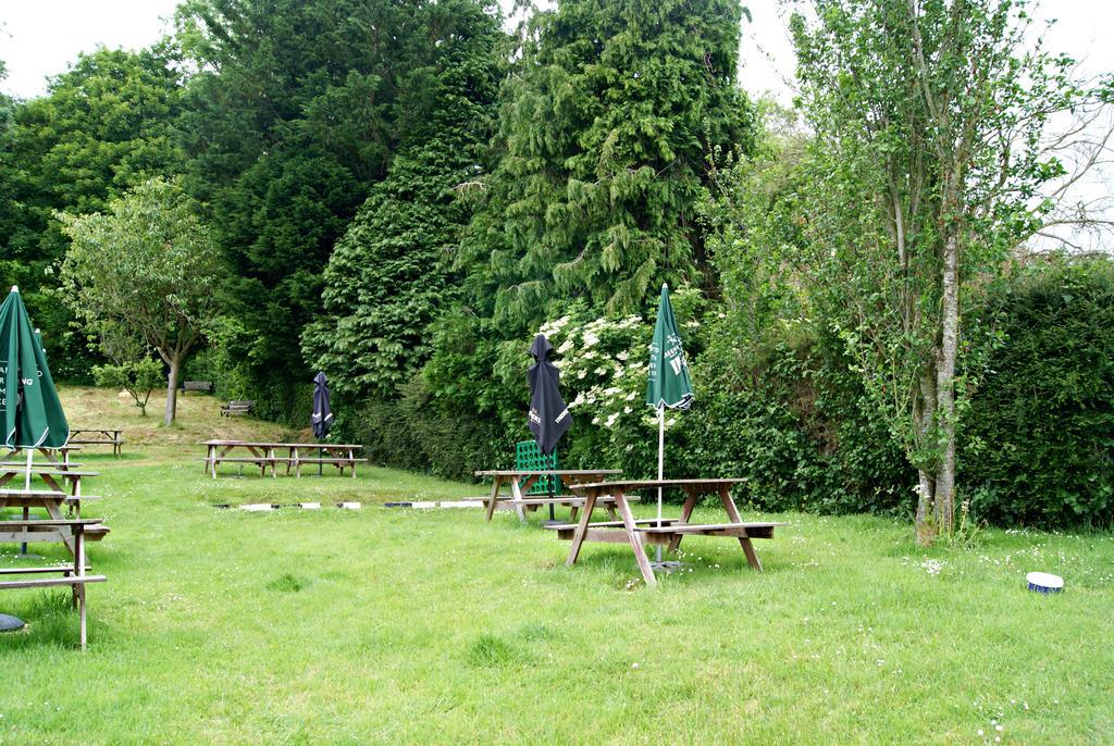 The Kings Arms Inn Montacute Exterior foto